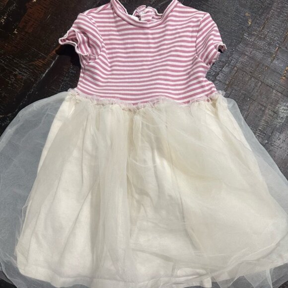 Pink Striped Dress with Cream Tulle Skirt